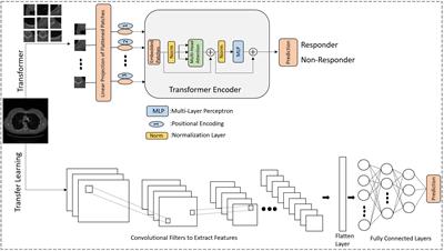 Apriori prediction of chemotherapy response in locally advanced breast cancer patients using CT imaging and deep learning: transformer versus transfer learning